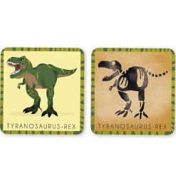 PIROUETTE CACAHOUETE Jeu De M Mory 'Le Dinosaure Et Son Squelette' Pirouette Cacahou Te Jeux De Soci T