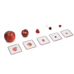 Observe Montessori Imagier Giga Mondy, Cartes De Nomenclature Observe Montessori Jeux De Soci T