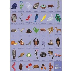 Mudpuppy Puzzle 'Cherche & Trouve' Animaux De La For T 64 Pcs Mudpuppy Puzzles D S 5 Ans, 54 Pcs