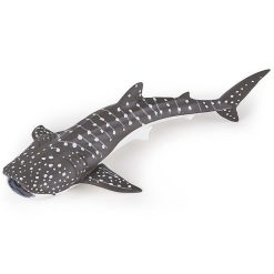 Papo Jeune Requin Baleine, Figurine Papo 56046 Figurines Papo