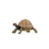 Papo Tortue, Figurine Papo 50013 Ferme En Bois, Centre Questre Et Zoo