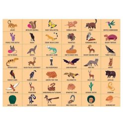 Mudpuppy Puzzle 'Cherche & Trouve' Animaux Du Desert 64 Pcs Mudpuppy Puzzles D S 5 Ans, 54 Pcs