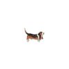 Papo Basset Hound, Chien Figurine Papo 54012 Figurines Papo