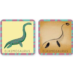 PIROUETTE CACAHOUETE Jeu De M Mory 'Le Dinosaure Et Son Squelette' Pirouette Cacahou Te Jeux De Soci T